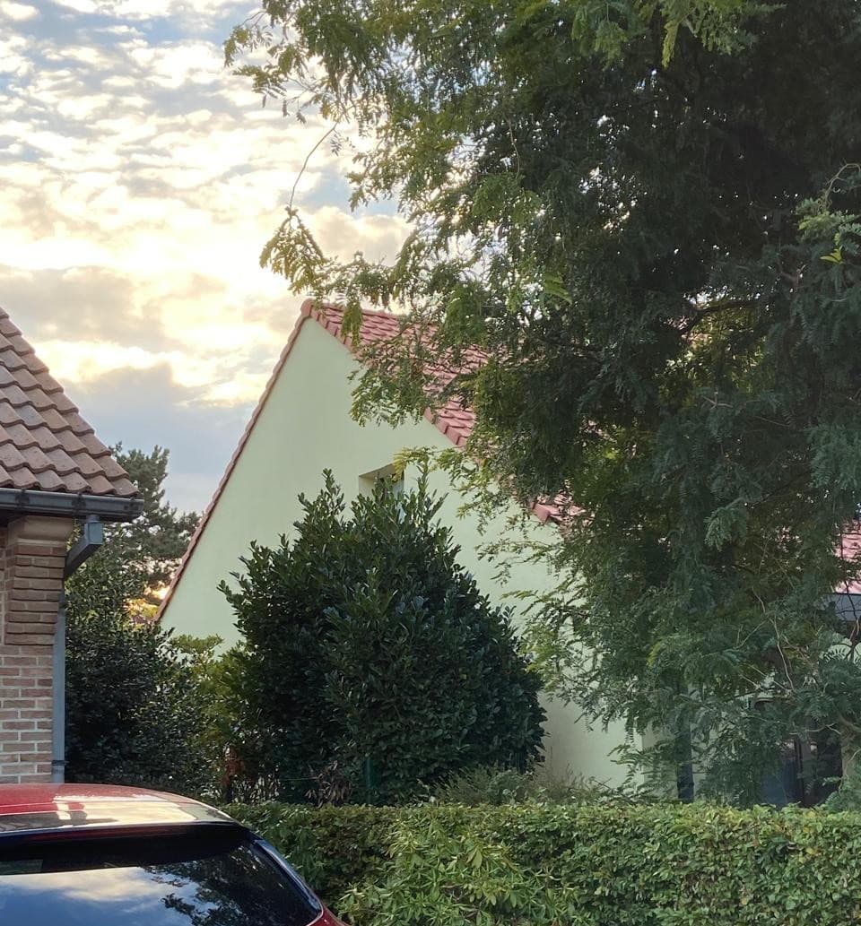 Crepiwerken zijgevel gevelpannen